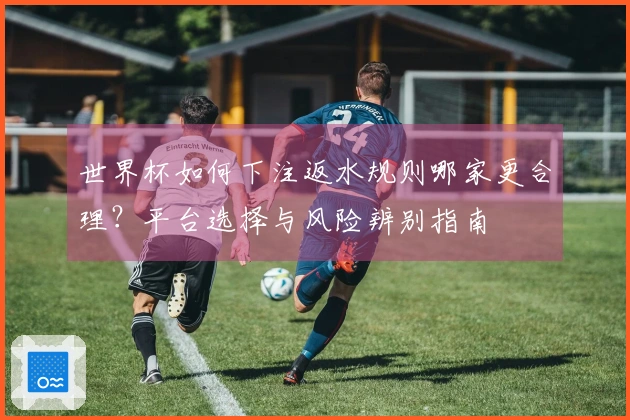 世界杯如何下注返水规则哪家更合理？平台选择与风险辨别指南