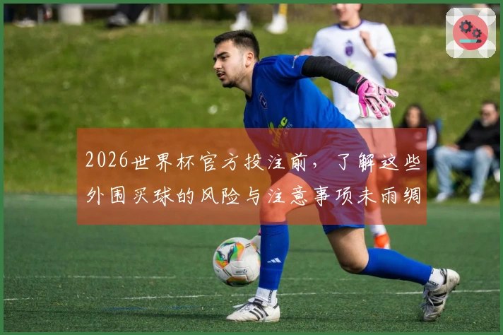 2026世界杯官方投注前，了解这些外围买球的风险与注意事项未雨绸缪