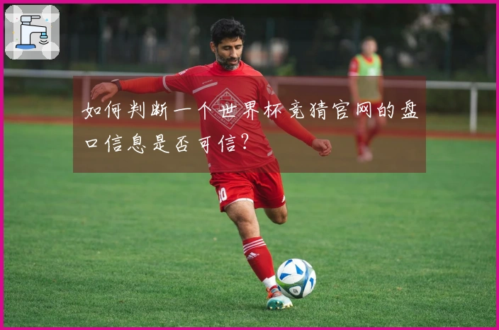 如何判断一个世界杯竞猜官网的盘口信息是否可信？