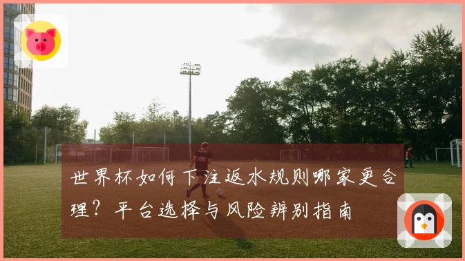 世界杯如何下注返水规则哪家更合理？平台选择与风险辨别指南